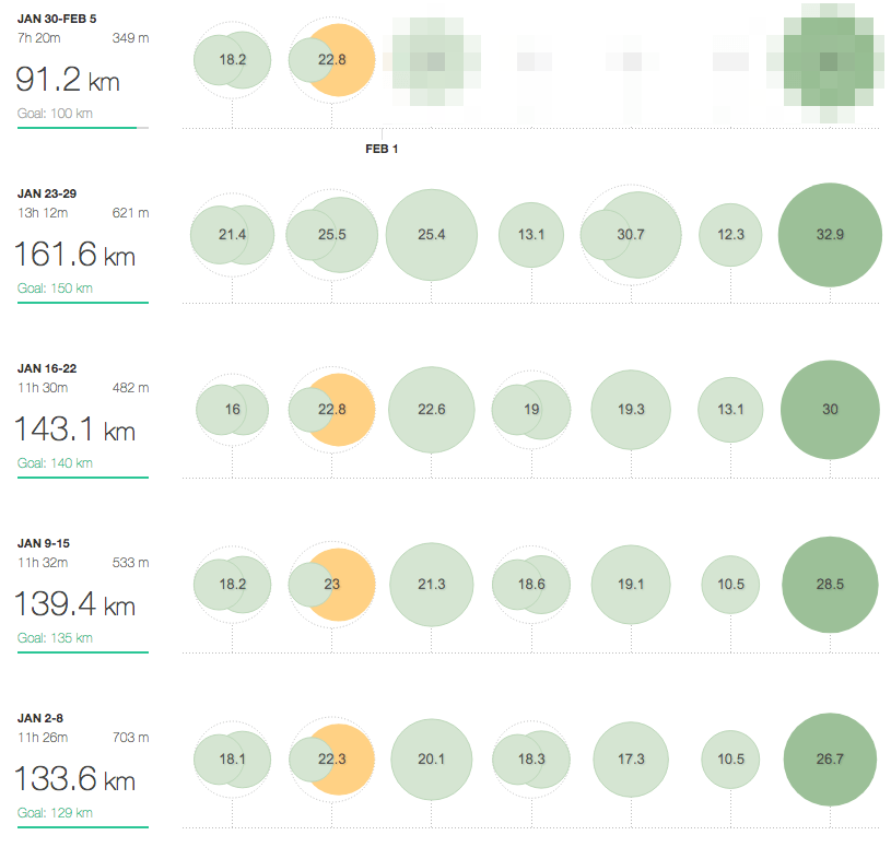 Strava log: January